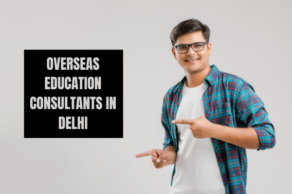 Overseas job consultants in south delhi