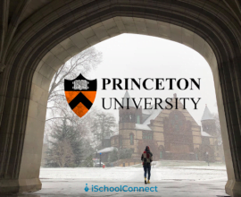 Princeton university acceptance rate, ranking, fees, and more