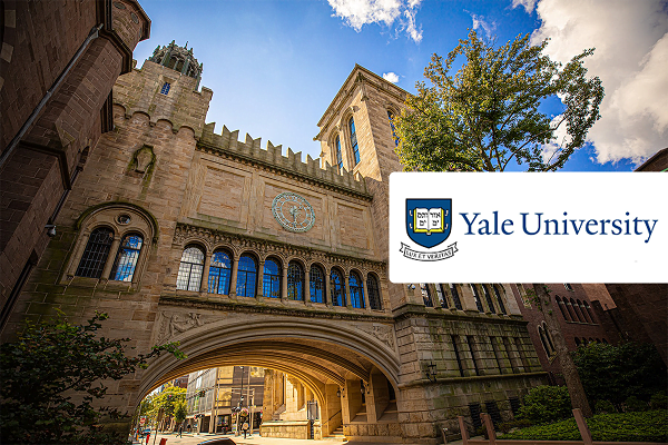 Yale university courses, fee, admissions, and more