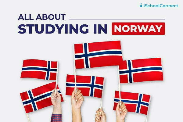 All about studying in Norway