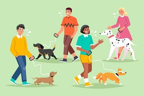 how to become a dog walker for part-time jobs near me
