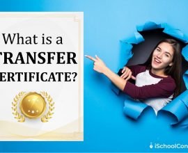 What is a transfer certificate