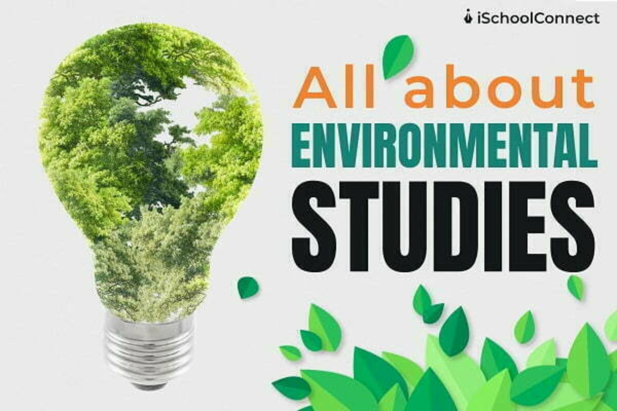 Environmental Studies: Top Universities & Green Careers