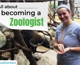 All about becoming a Zoologist