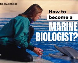 How to become a Marine Biologist
