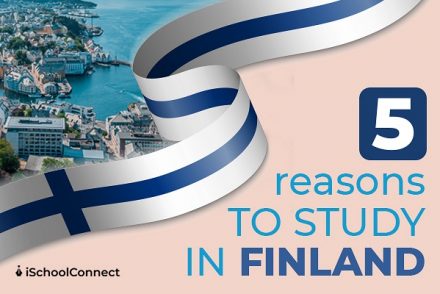 study info finland