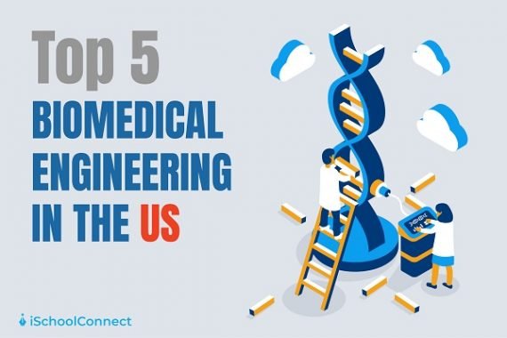 Biomedical Engineering | Top 5 Colleges In The USA You Must Know About!