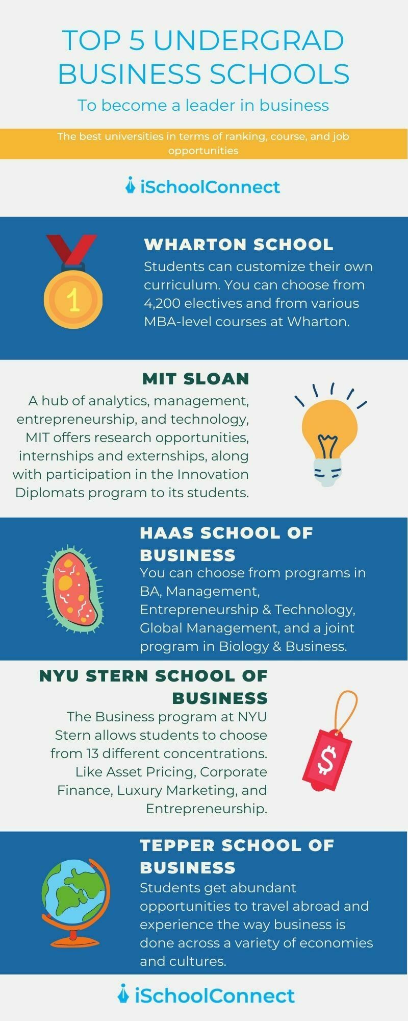 Best undergraduate business schools Master your business skills!