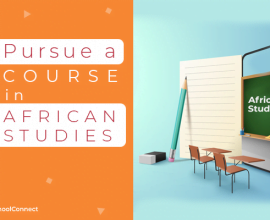 African studies - A comprehensive guide on Best Courses