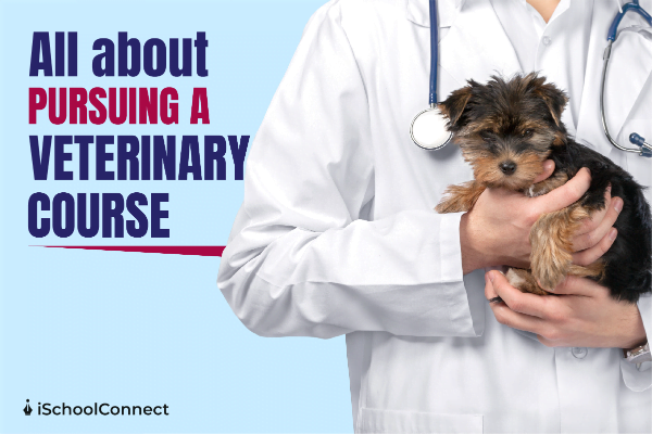 Veterinary Course | Everything you should know about it!