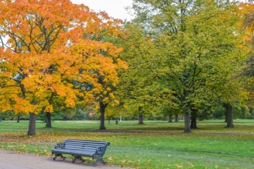top places to visit in the uk hyde park