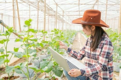 careers in agriculture, food and natural resources
