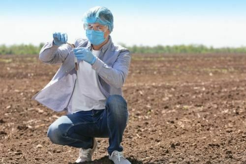 A soil and plant scientist works in the agricultural field on various agriculture jobs