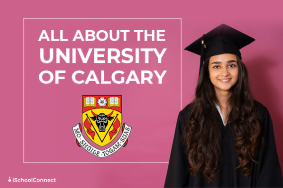 university of calgary phd admission requirements