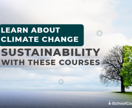 Top Climate Change and Sustainability Courses to Pursue