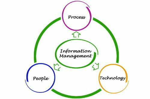 What are the subjects in MBA Information Technology?
