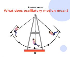 Oscillatory motion - everything you need to know