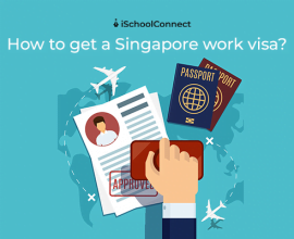 Singapore work permit