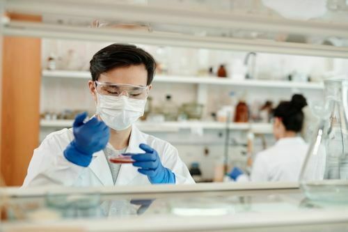 What is the main work of a microbiologist?