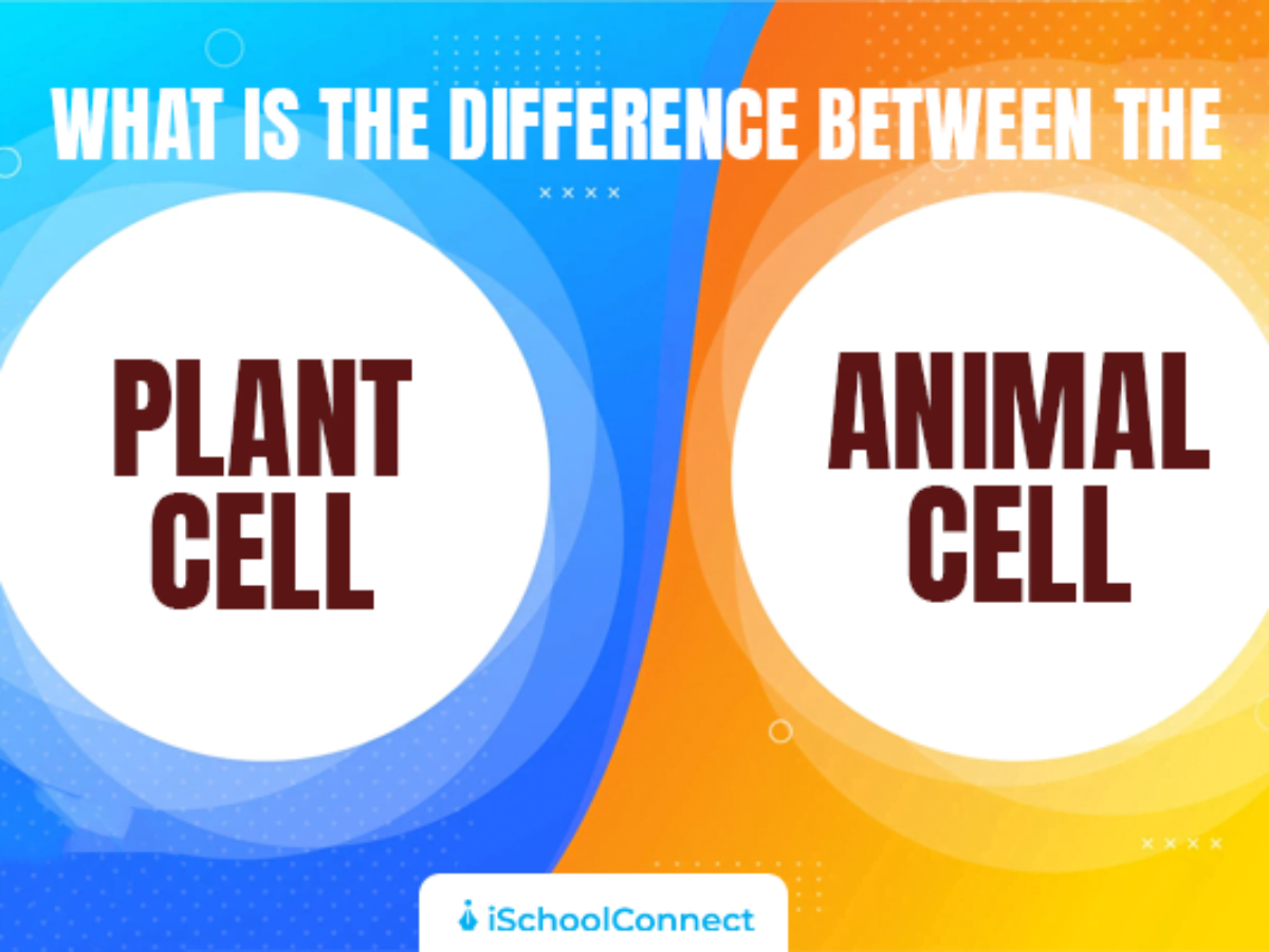 Here are top difference between plant cells and animal cells
