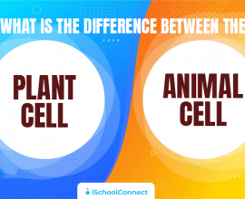 Top differences between plant cells and animal cells