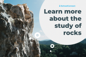 Study of Rocks: Types, Properties, and Applications Explained