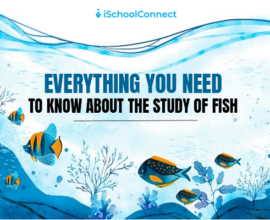 Study of fish- definition, history, applications, and much more
