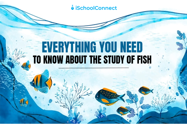 Study of fish- definition, history, applications, and much more