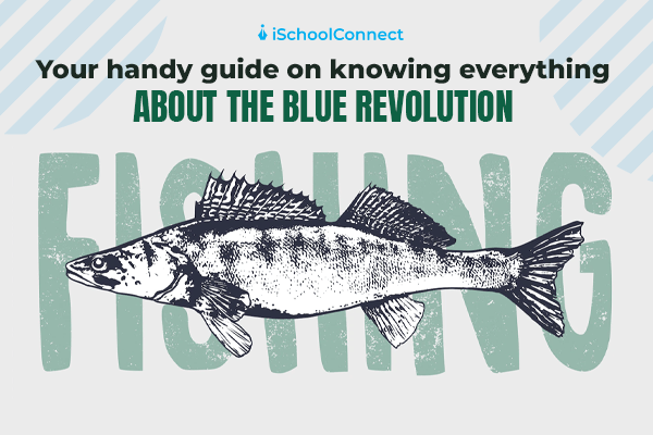 Blue Revolution: All you need to know