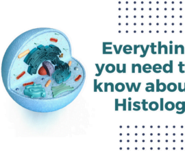 Histology- types, careers, and uses