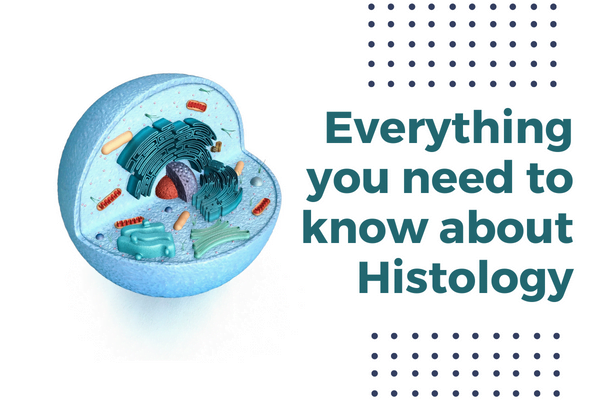 Histology- types, careers, and uses