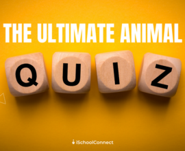 Animal quiz that will test your Smarts