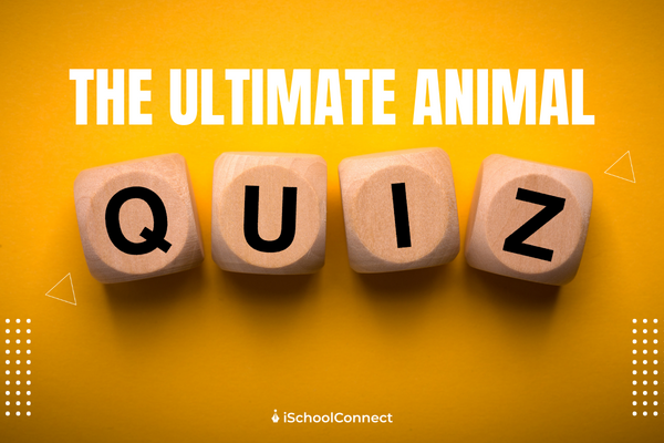 Animal quiz that will test your smartness
