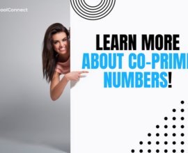 What is a co-prime number? | Definition, properties, and example
