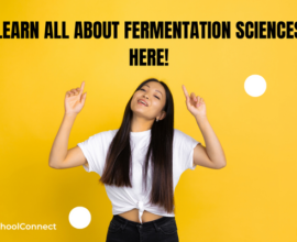 Science of fermentation | History, types, and stages