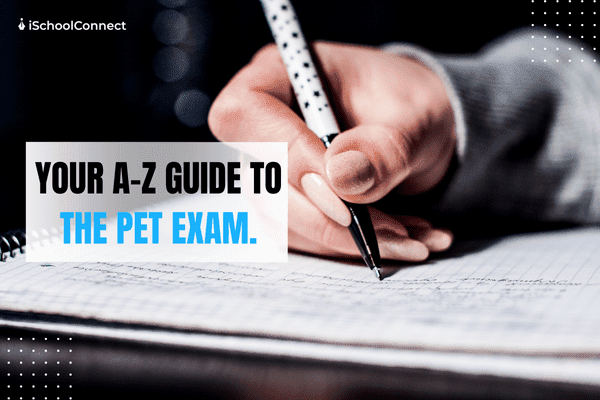 Everything about the preparation for PET exams