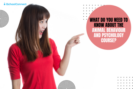 A closer look at Aquatic Animal Behavior And Psychology Information