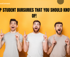 What are student bursaries?