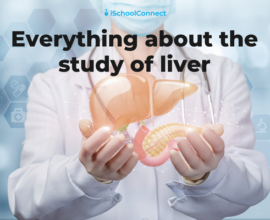 Study of liver | Hepatology