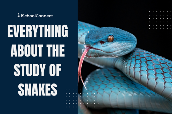 Study of snakes – a guide to Herpetology and Ophiology