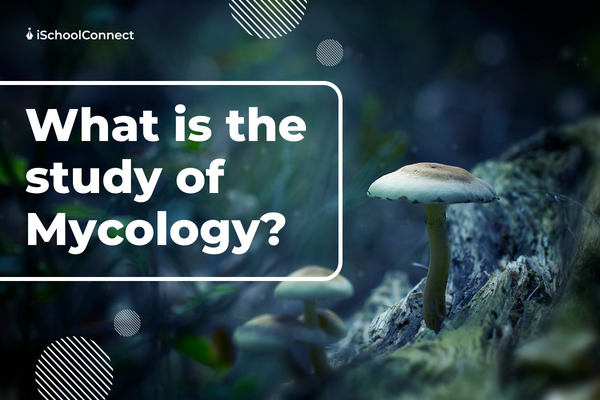 Mycology | Meaning, History, and more