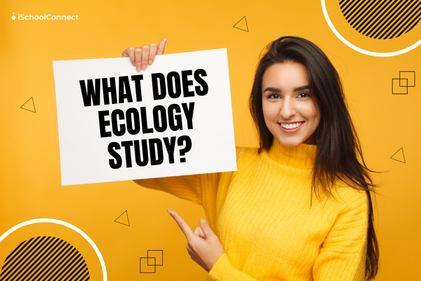 An overview of the study of ecology