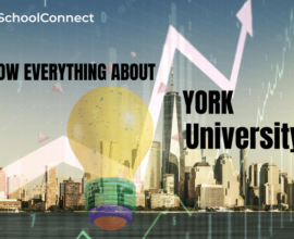 Everything you need to know about New York University