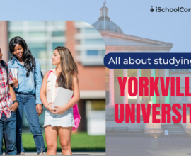 Everything you need to know about Yorkville University