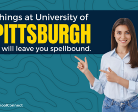 An introduction to the University of Pittsburgh