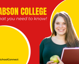 A complete guide to Babson College