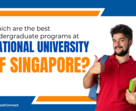 National University of Singapore | Undergraduate programs