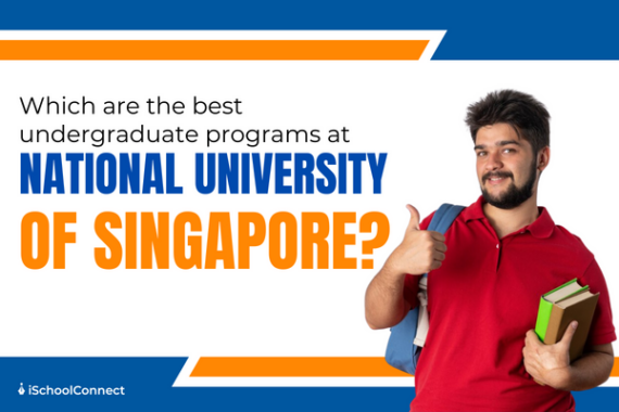 national university of singapore undergraduate programs