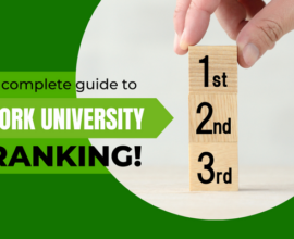 All about York University ranking