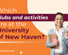 The University of New Haven | Clubs and organizations